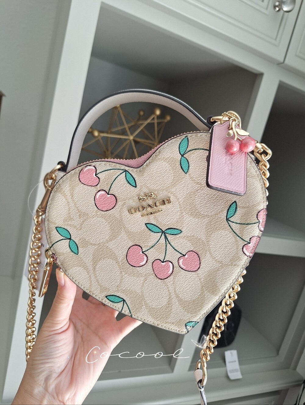 NEW COACH Heart Crossbody In Signature Canvas With Heart Cherry Print CE653